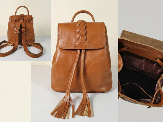 حقيبة الظهر المحسّنة لنقل العسل الإصدار 2