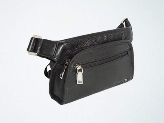Waist/Chest Bag