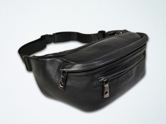 Waist/Chest Bag