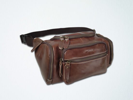 Waist/Chest Bag